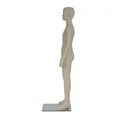 Kép 3/7 - PASCAL egész alakos FIÚ kirakati baba, próbababa, kőhajú, 160 cm, 7 év, TÖBB SZÍN