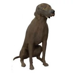 Kutya kirakati bábú, ülő forma, Vizsla alak, BARNA